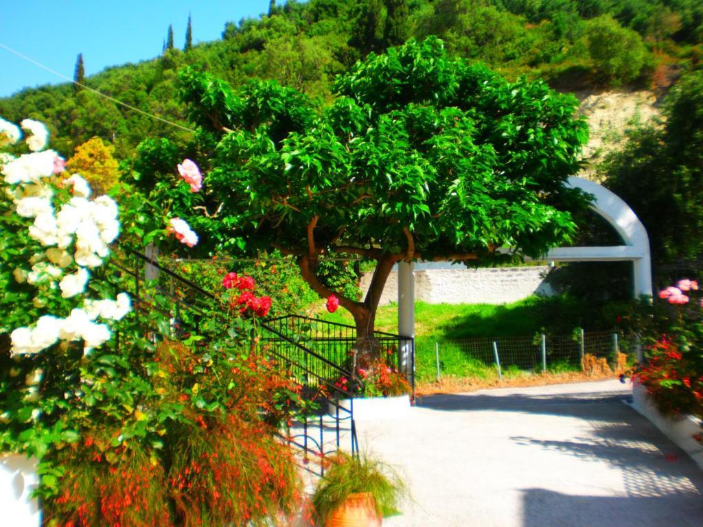 Hotel Oasis Parga Exterior foto